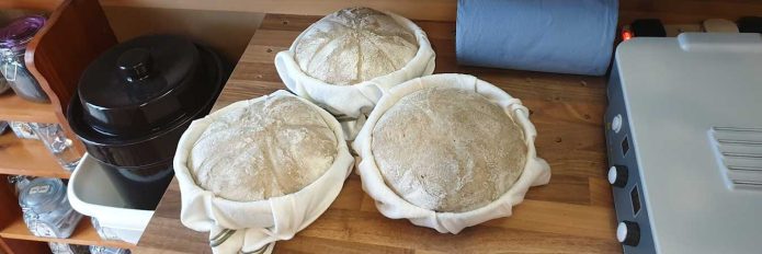 Three freshly baked homemade sourdough bread loaves on a kitchen counter