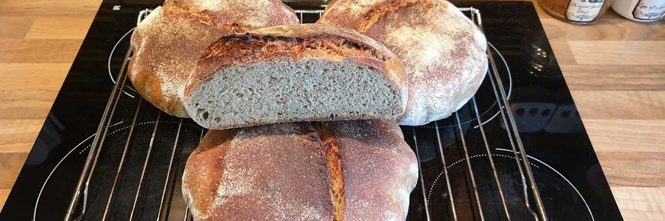 Freshly baked sourdough bread loaves with one cut in half showing open crumb structure