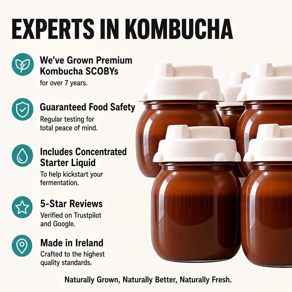 Why choose NutriBrew for kombucha: premium SCOBYs, guaranteed food safety, and made in Ireland