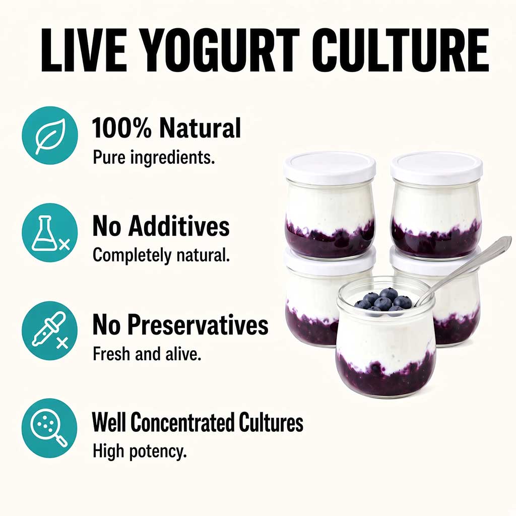 Live yogurt culture: 100% natural, no additives, no preservatives, and well concentrated