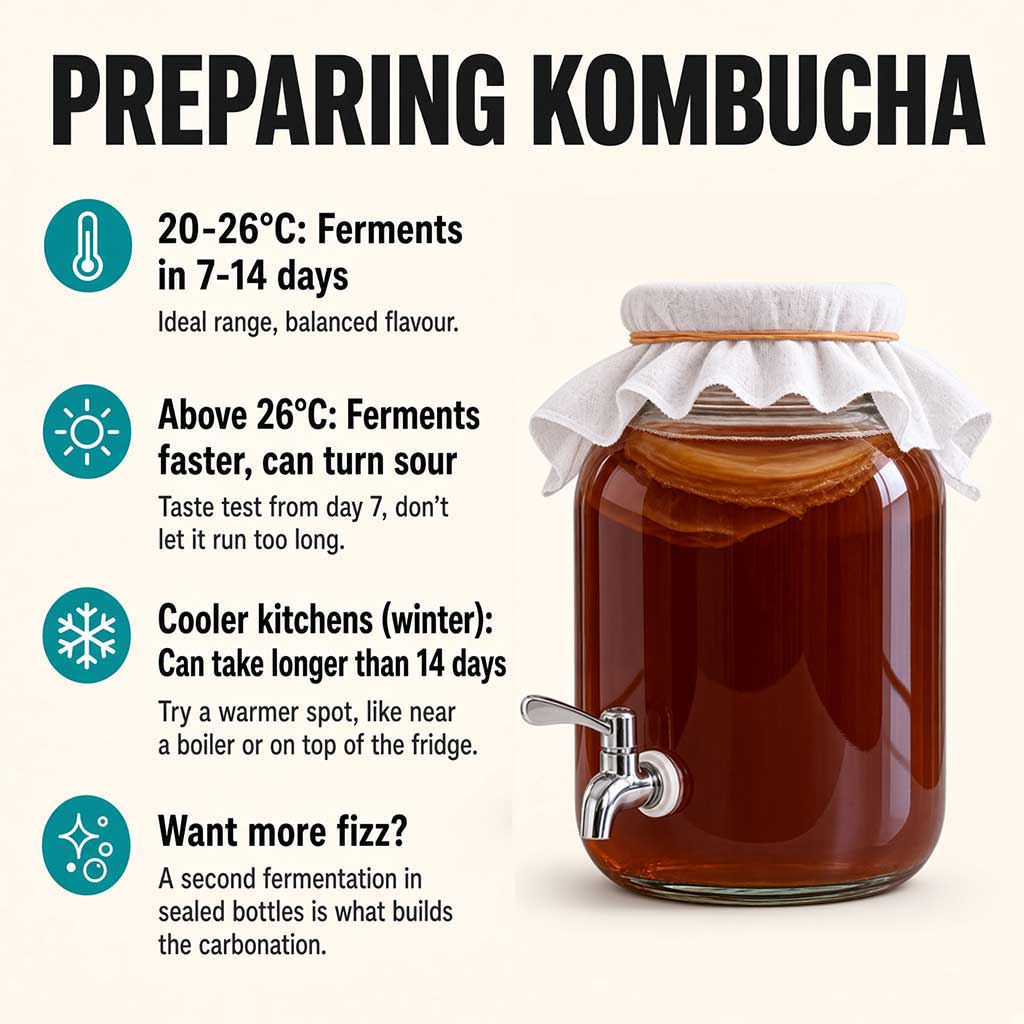 Kombucha fermentation temperature guide: ideal range, warm weather, cooler kitchens, and building carbonation