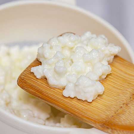 milk kefir grains on wooden spoon